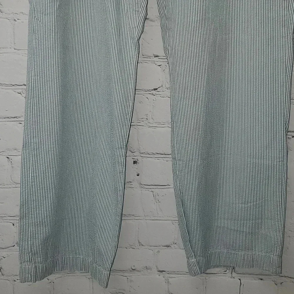American Eagle Outfitters Classic Fit Flat Front Blue Pin Stripe Chinco Pants - Picture 8 of 12